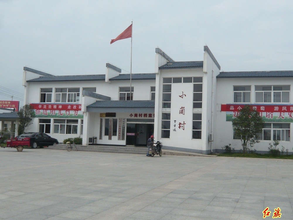 17.jpg