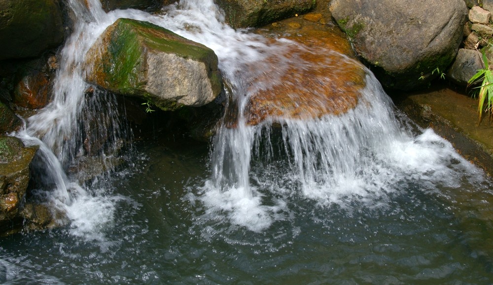 231633pe1044zgpxcpx44f_jpg_thumb.jpg