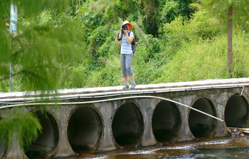 231811dilrc9gipfssp6ps_jpg_thumb.jpg
