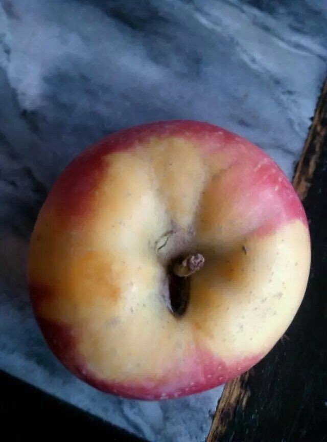 QQͼƬ20151225175015.jpg