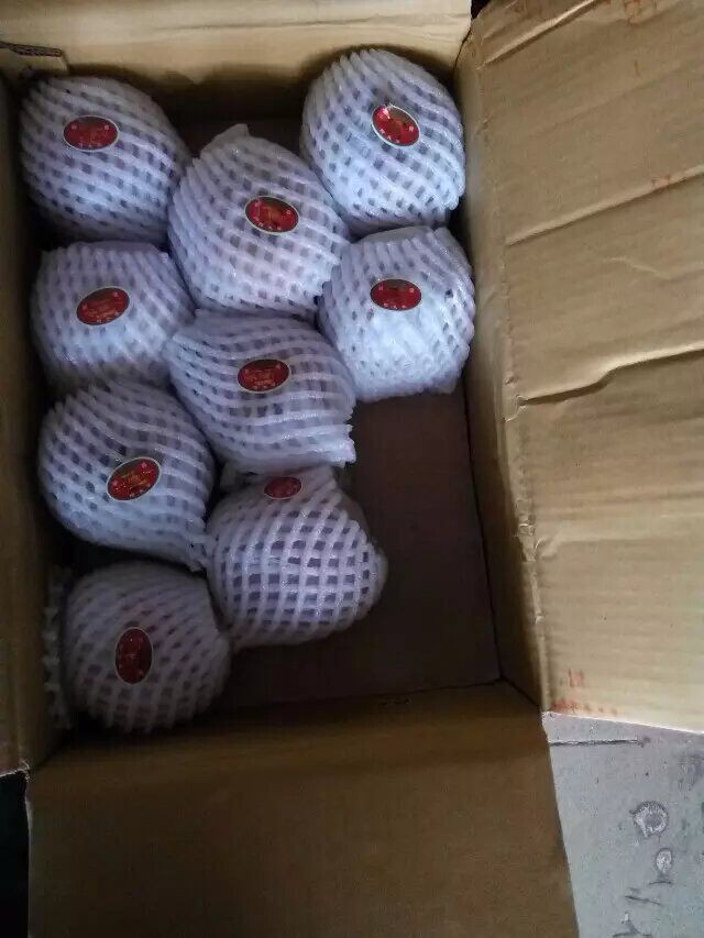 QQͼƬ20151225175023.jpg