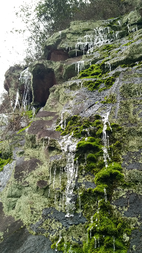 20160124_151733.jpg