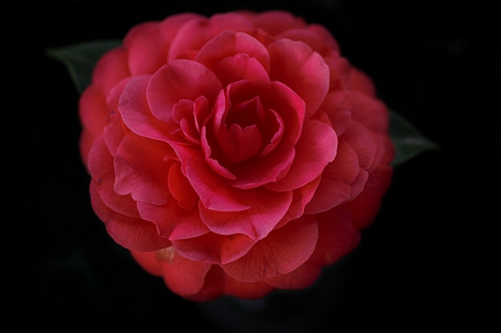 140943xietevt4ii5j5e4v_jpg_thumb.jpg