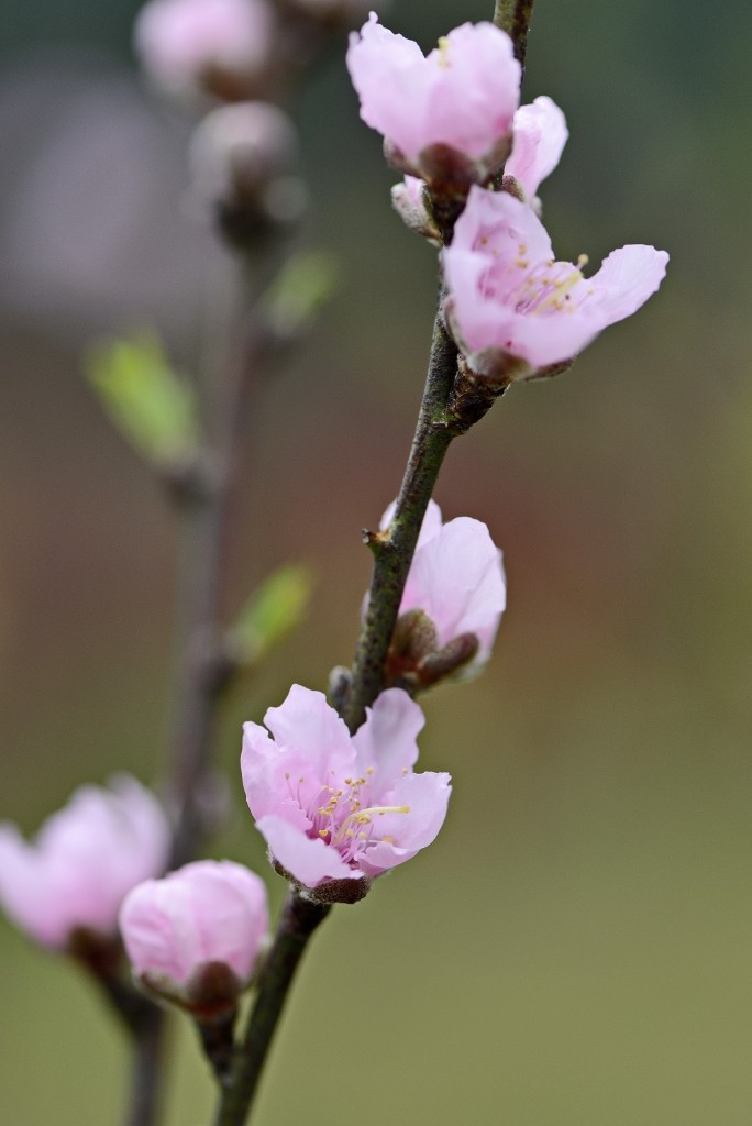 155857tysdp8hzycyuhyk5.jpg.thumb.jpg