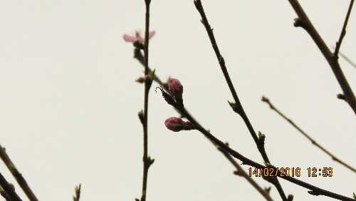 20160214_125310.jpg