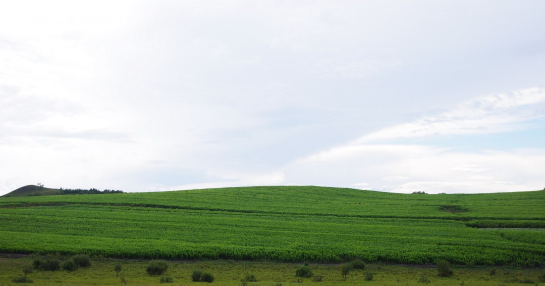 1 (10).JPG