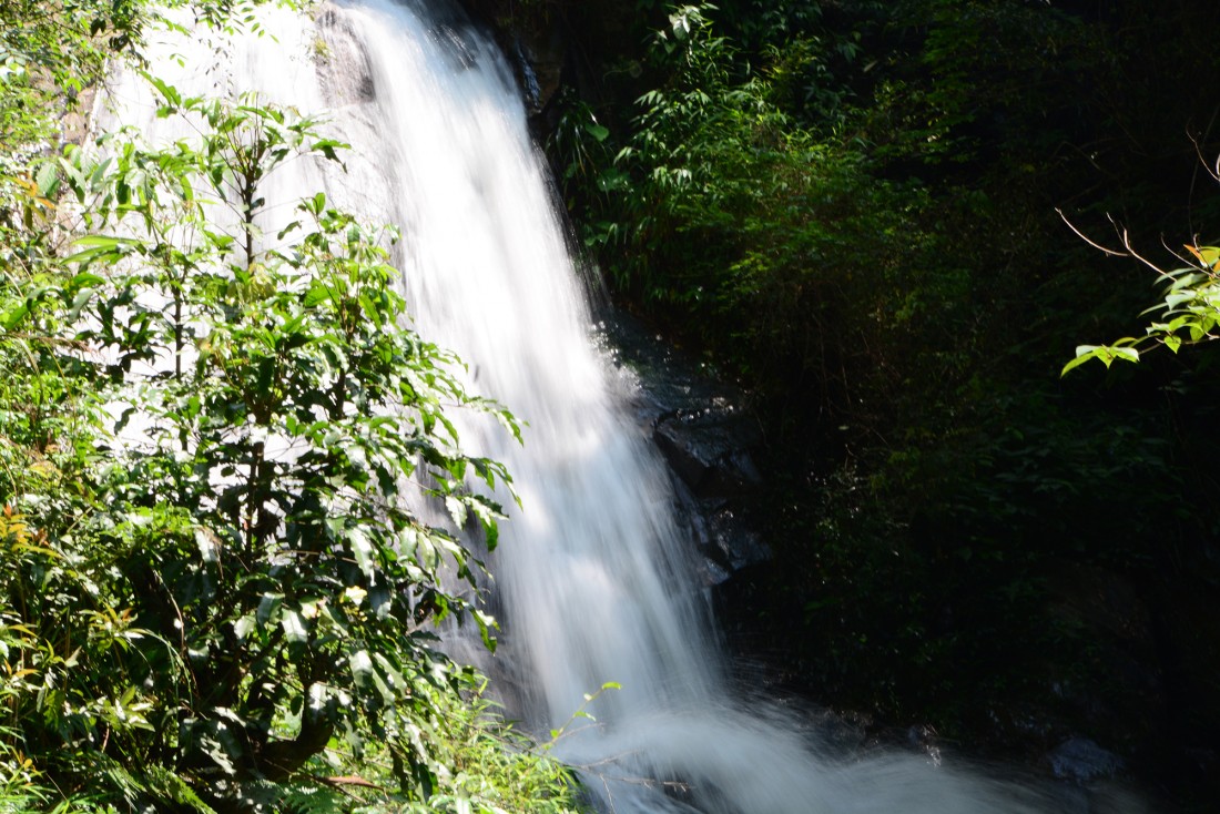 DSC_4519.JPG