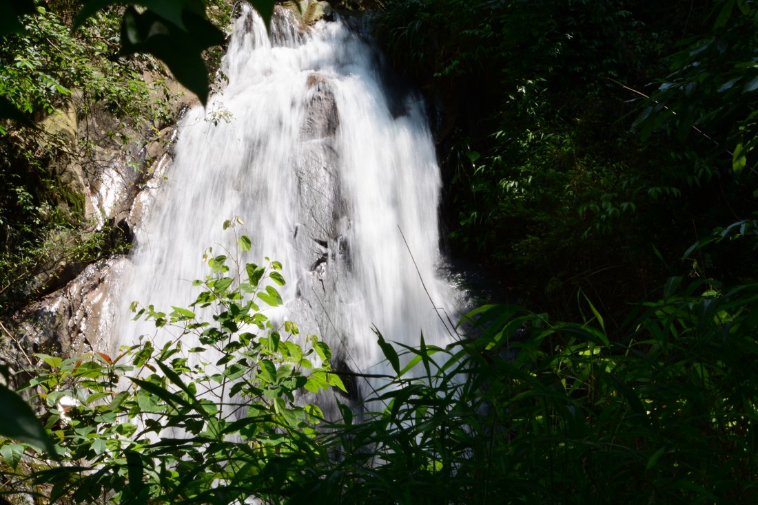 DSC_4526.JPG
