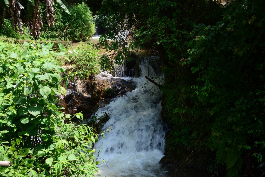 DSC_4537.JPG