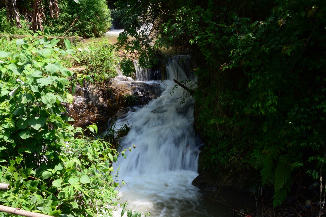 DSC_4538.JPG