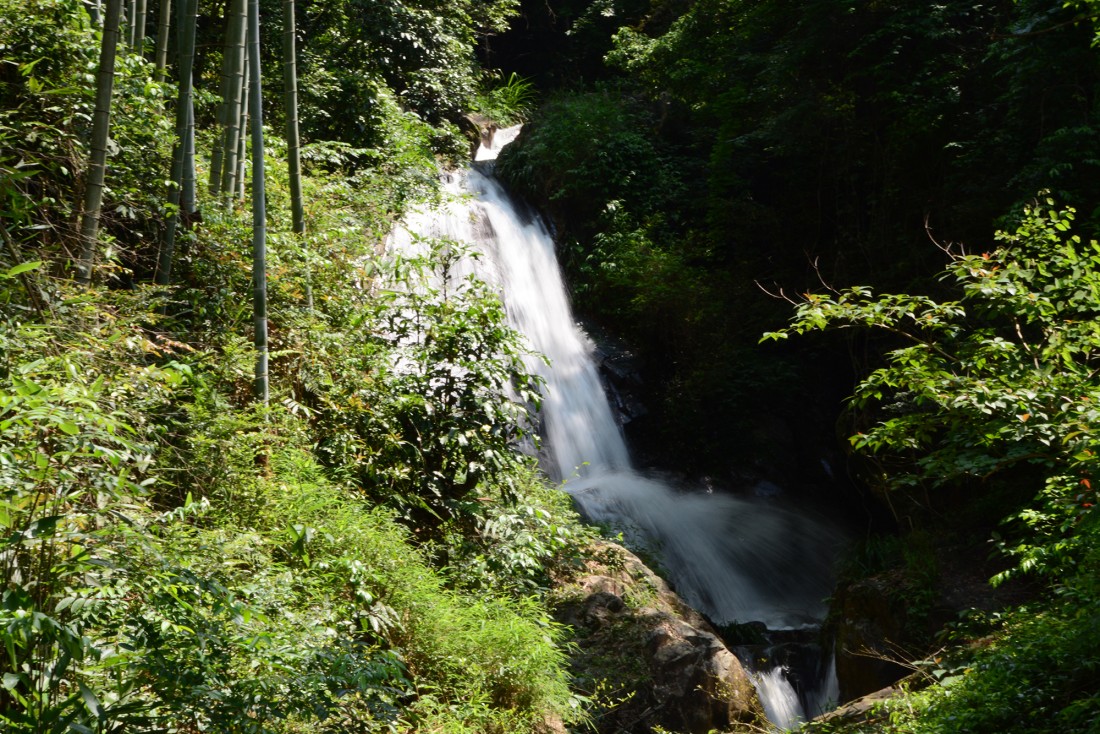 DSC_4518.JPG