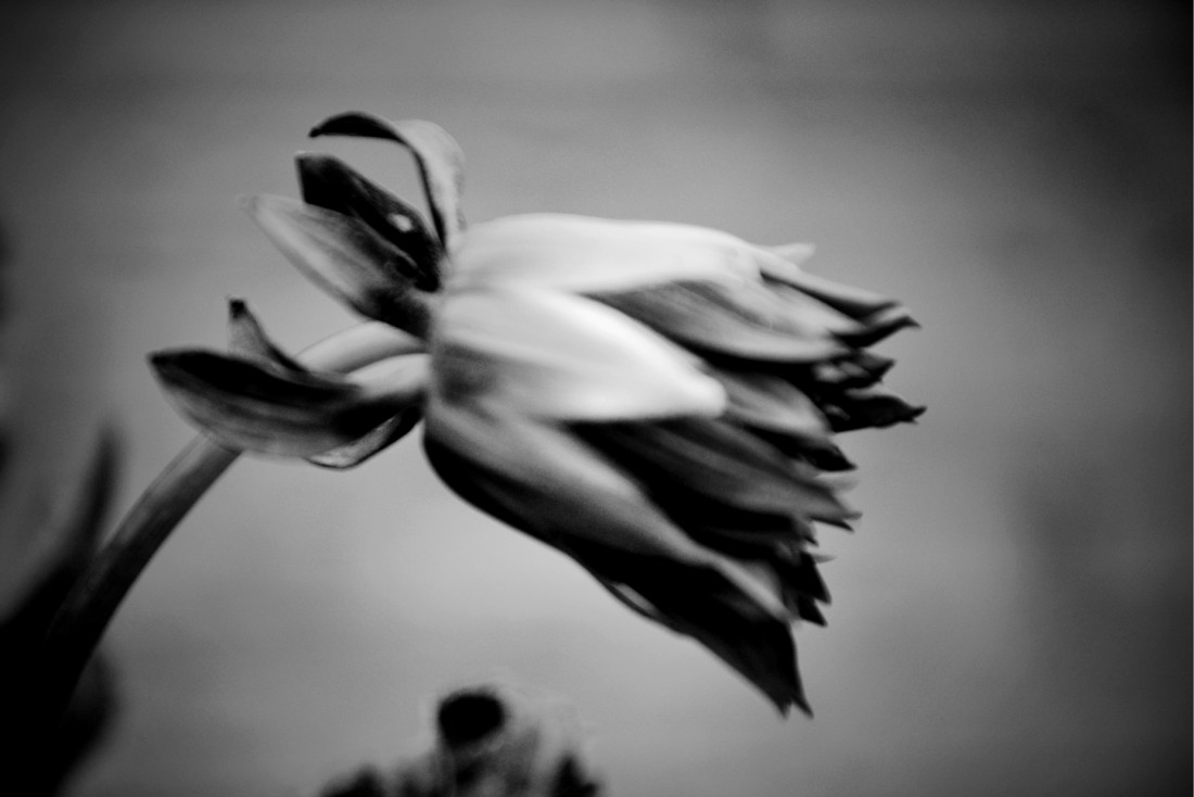 DSC_0192_.jpg