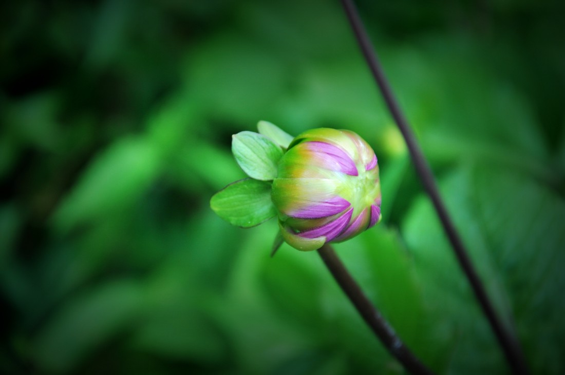 DSC_5176_.jpg