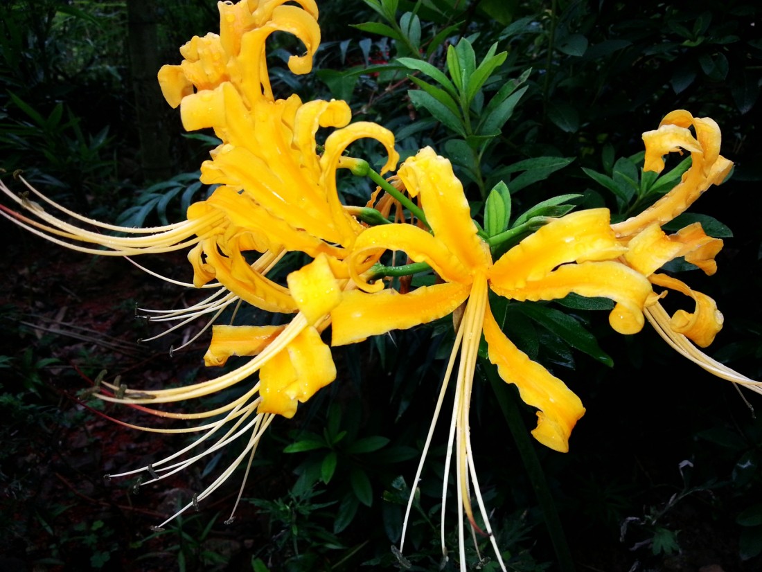 20140825_100701_.jpg