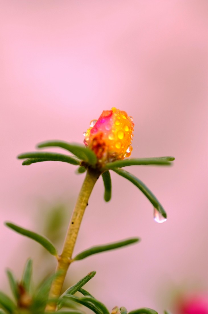 DSC_0057_.jpg