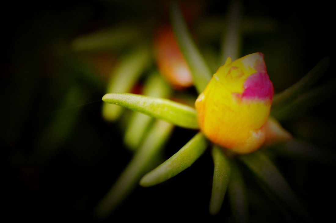 DSC_0124_.jpg