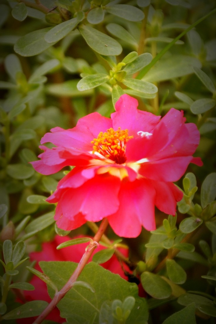 DSC_0179_.jpg