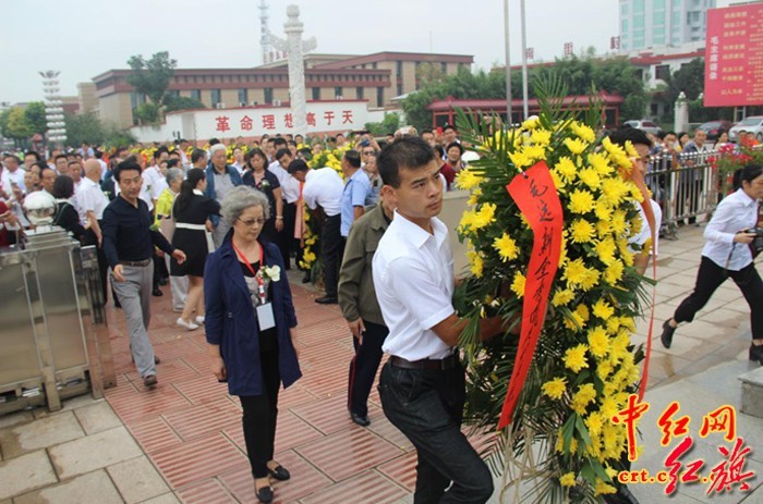 xinhonglv518.jpg