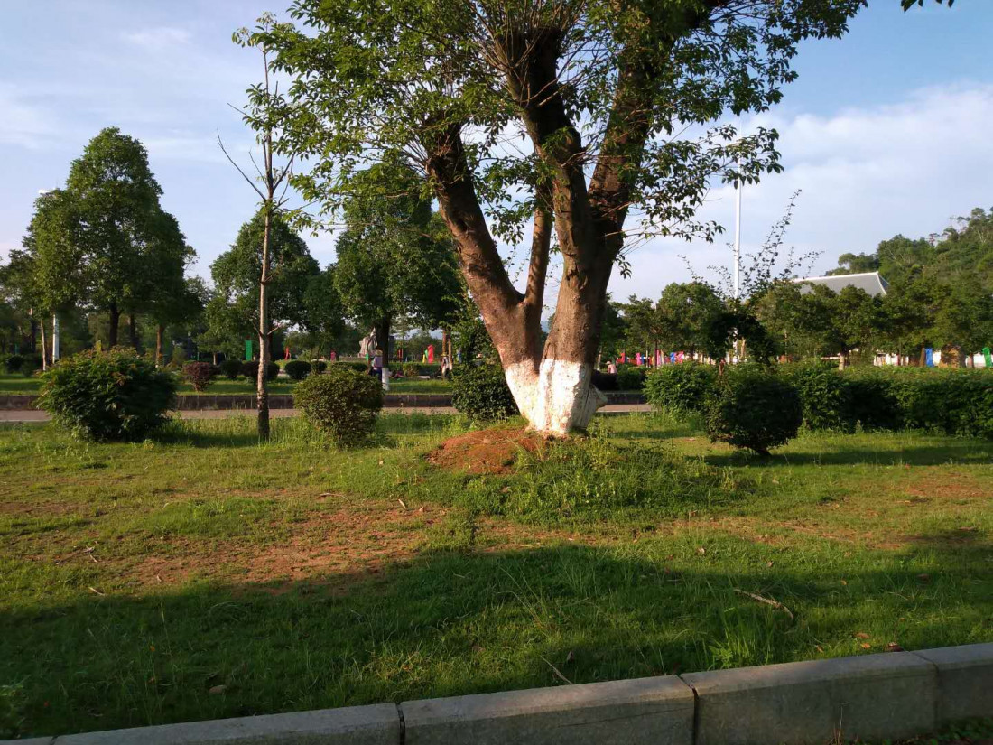 dong-shan-lin-1.jpg
