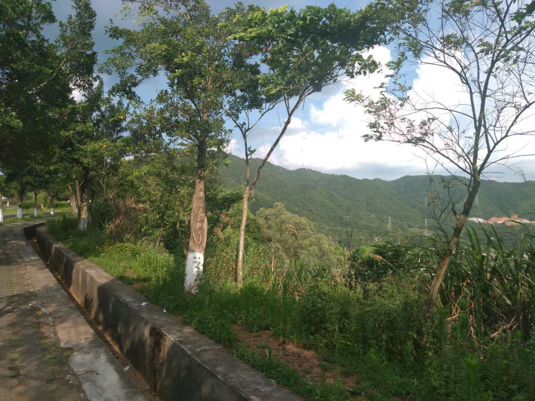 bo-luo-bei-1.jpg