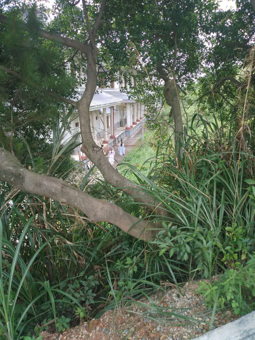 bo-luo-bei-2.jpg