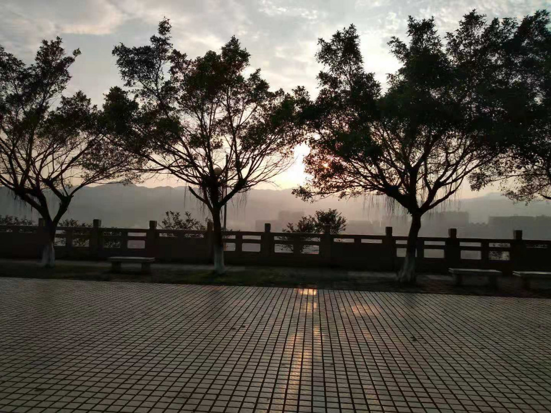 dong-shan-lin-shan-2.jpg