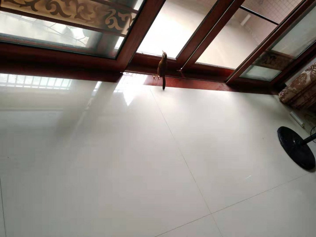 fang-xiao-fang-2.jpg