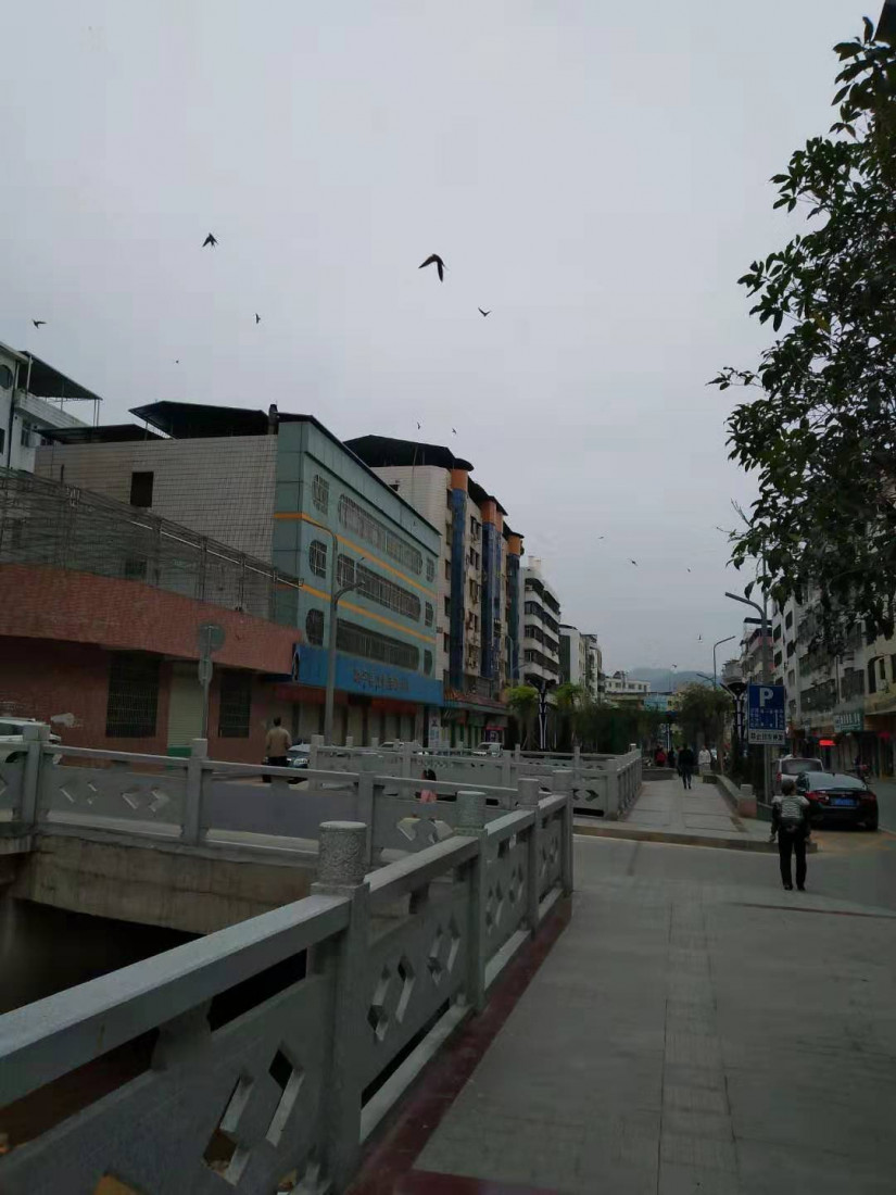 long-hu-yan-zhi-1.jpg