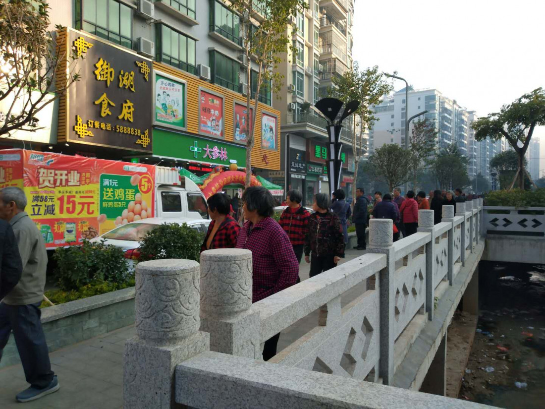 da-seng-lin-long-hu.jpg