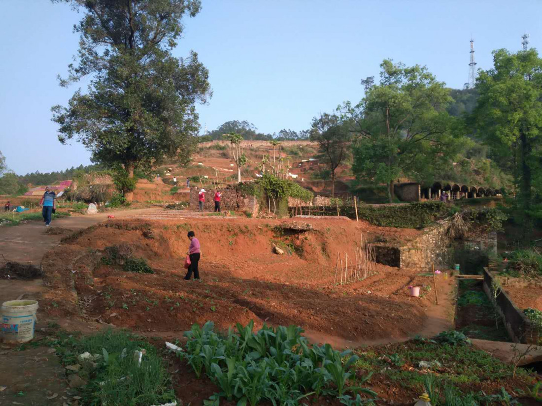 dong-shan-lin-2020-03-22-2.jpg