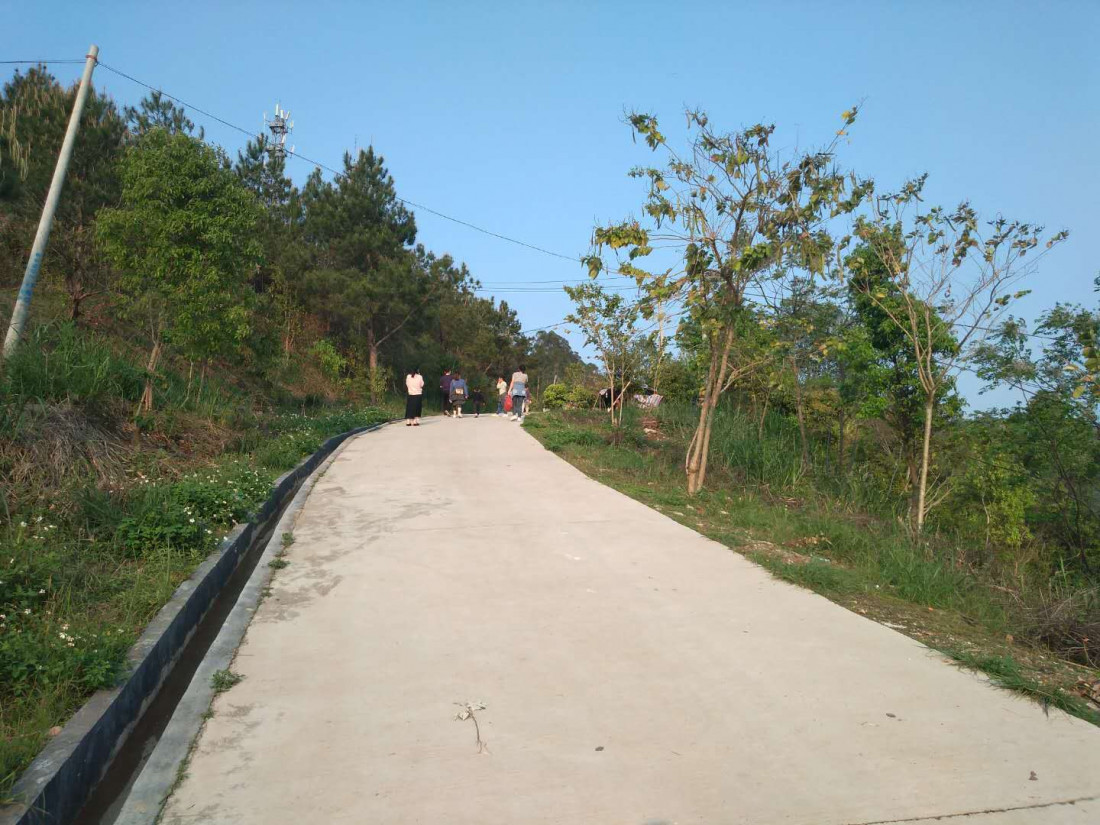 dong-shan-lin-2020-03-22-4.jpg