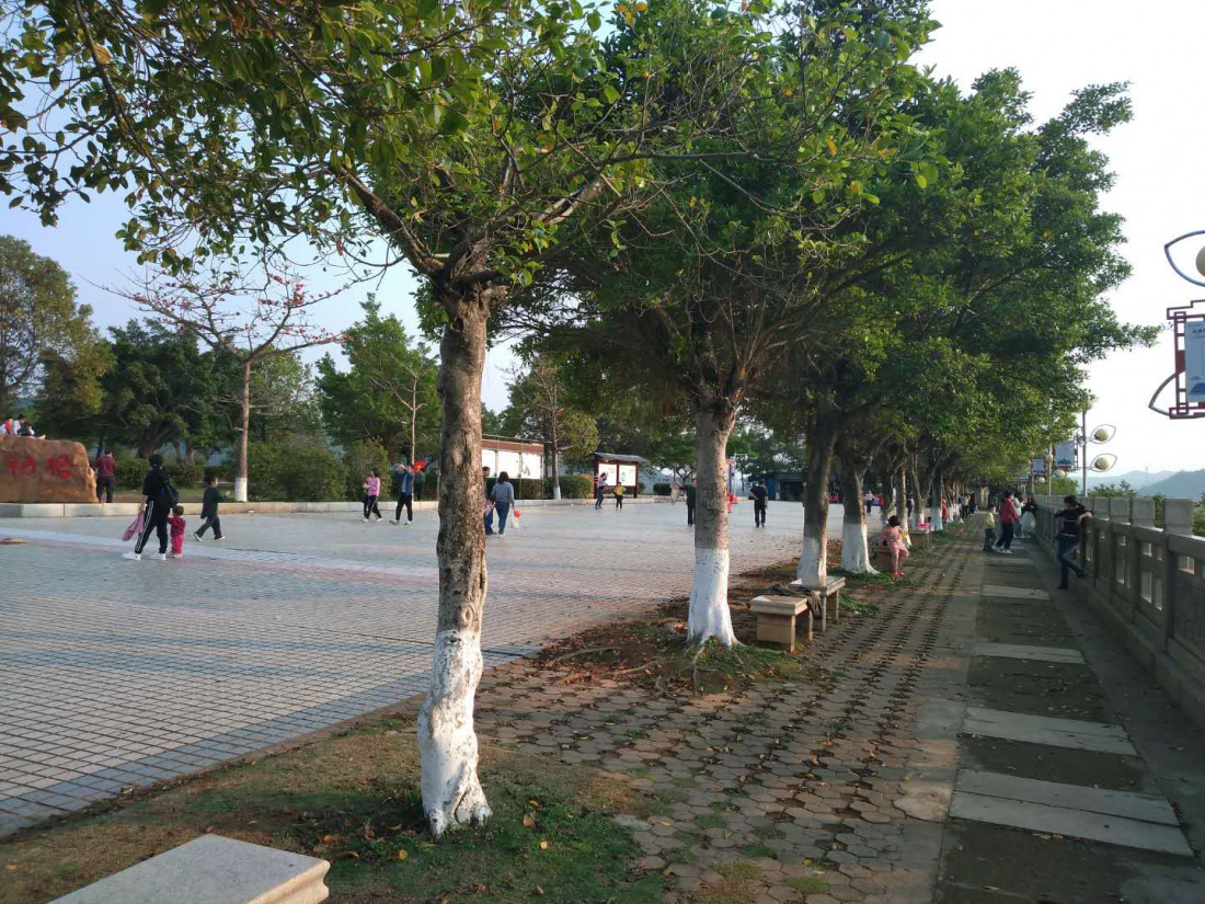 dong-shan-lin-2020-03-22-7.jpg