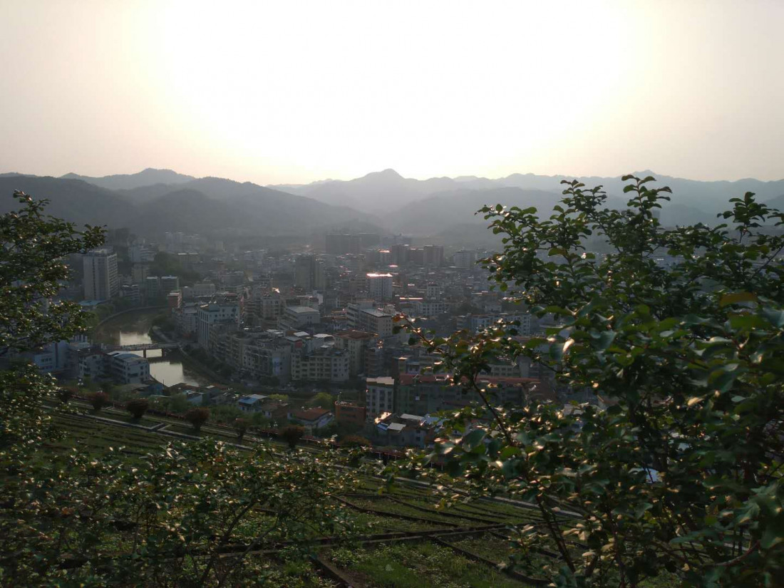 dong-shan-lin-2020-03-22-6.jpg