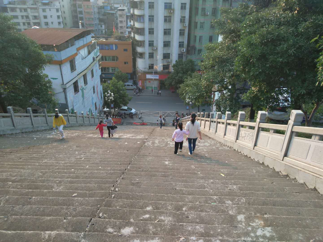 dong-shan-lin-2020-03-22-8.jpg
