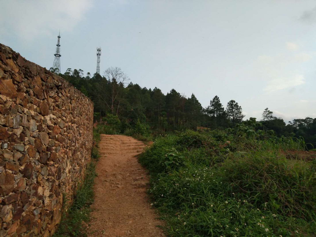 sui-pai-dong-shan-lin-1.jpg