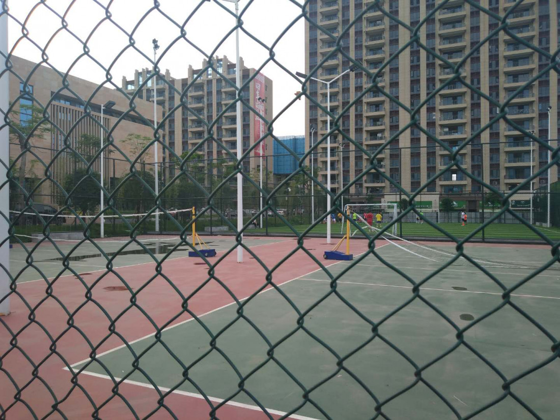 sui-pai-tu-shu-guang-4.jpg