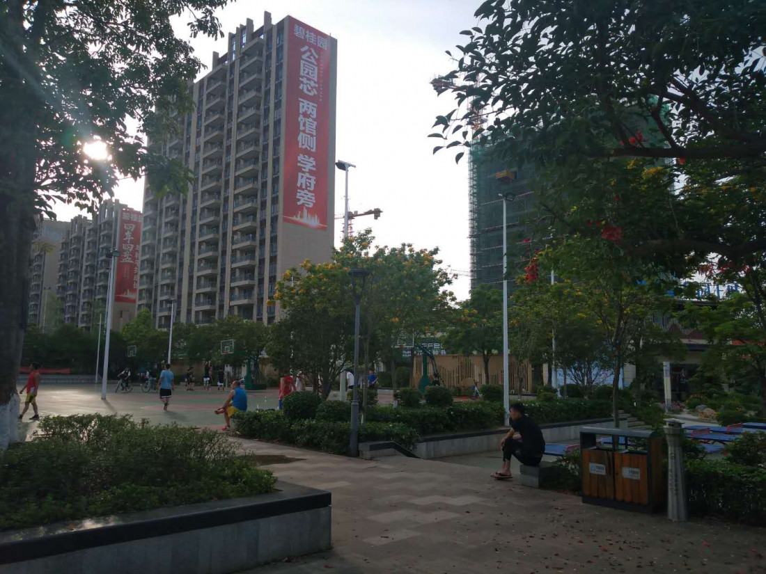 sui-pai-tu-shu-guang-6.jpg