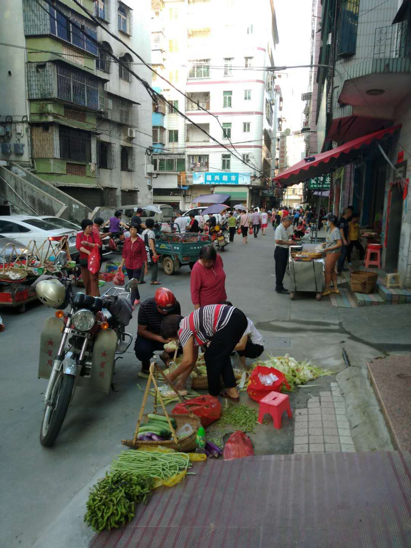 sui-pai-guo-yuan-shi-chang-1.jpg