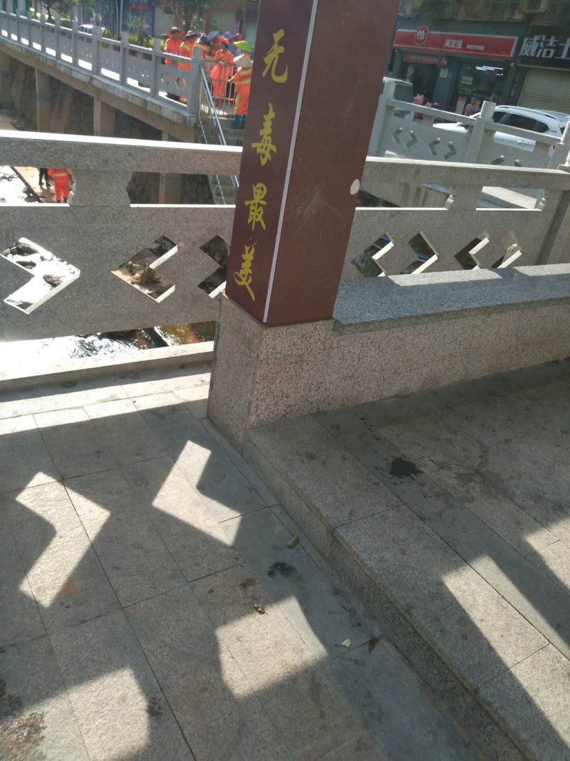 sui-pai-long-hu-ge-chao.jpg