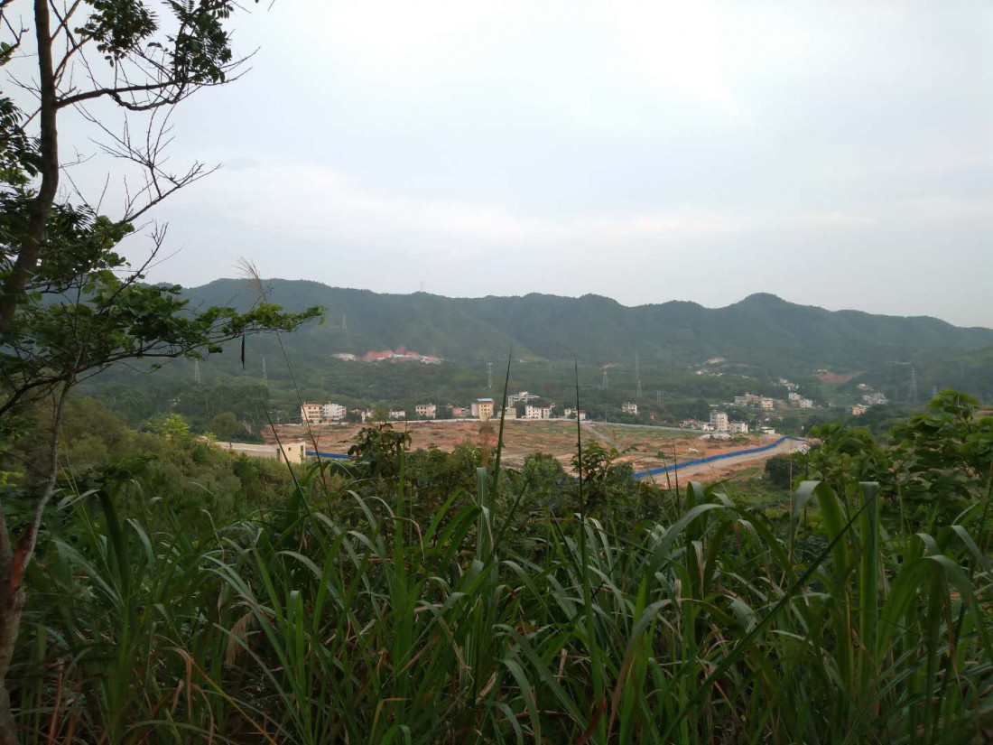 sui-pai-dong-shan-ling-8-4.jpg