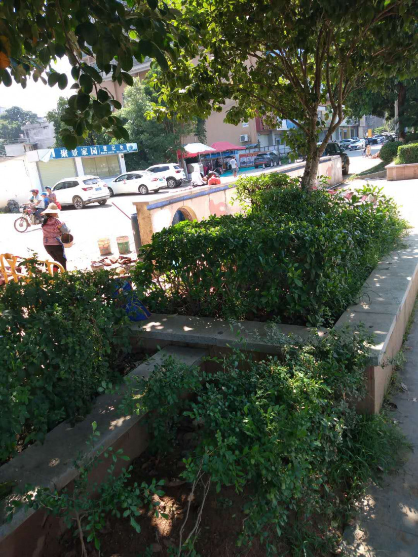 sui-pai-bing-he-xi-mai-guan-1.jpg