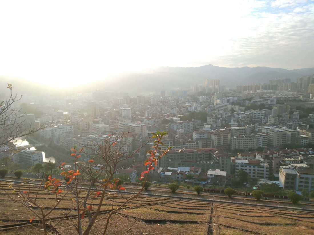 sui-pai-chong-yang-dong-shan-lin-3.jpg
