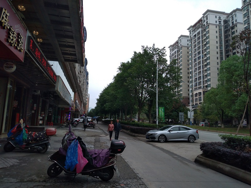 IMG_20210420_102544.jpg
