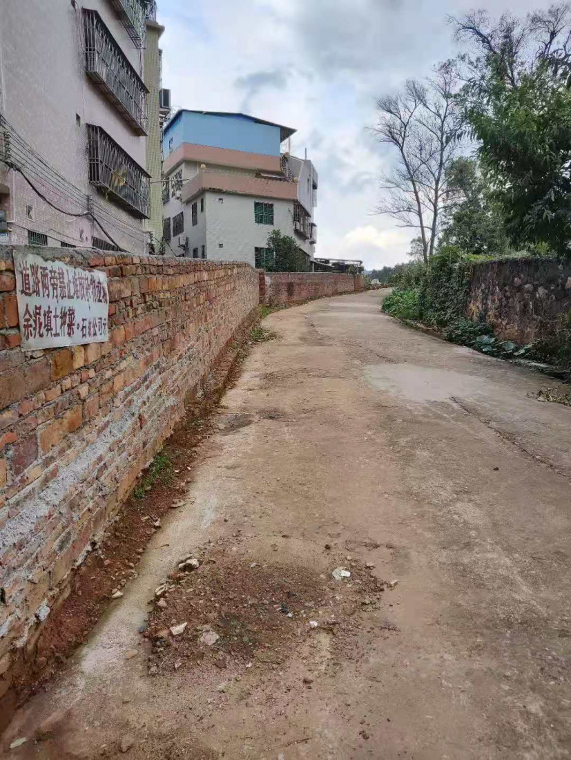 dong-shan-lin-shan-lu-se-1.jpg