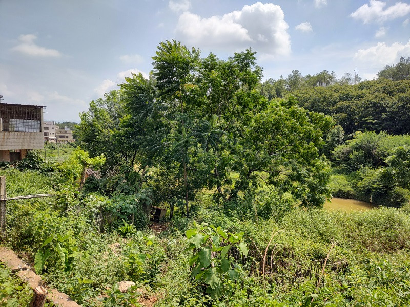 IMG_20210704_101134551_HDR.jpg