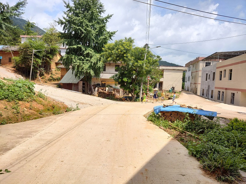 IMG_20210704_101443675_HDR.jpg