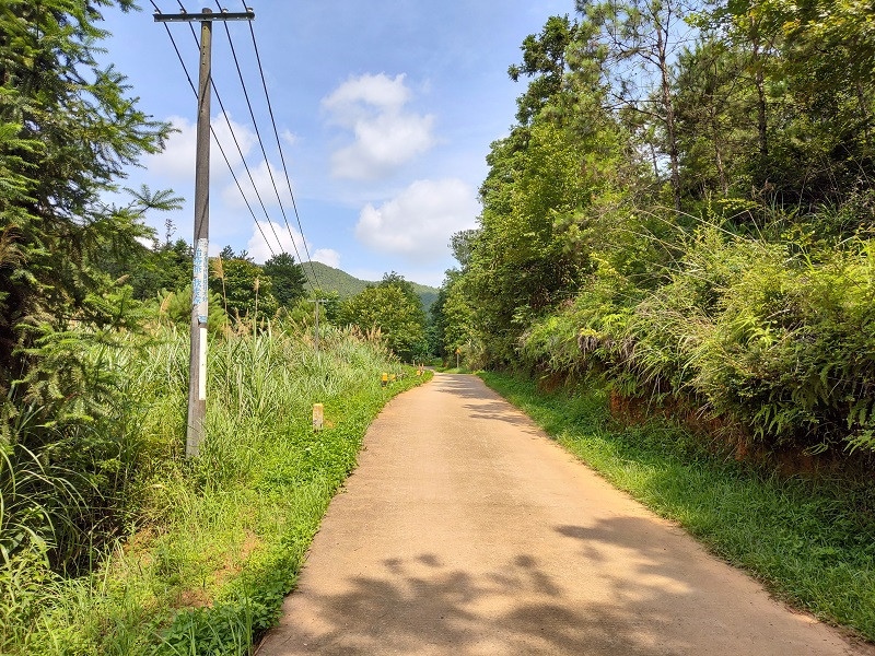 IMG_20210704_102429132_HDR.jpg