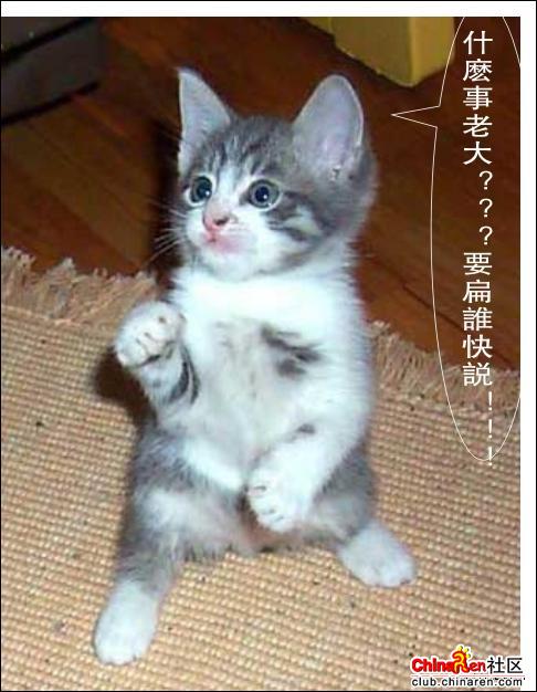 FDkgKlgi7.jpg