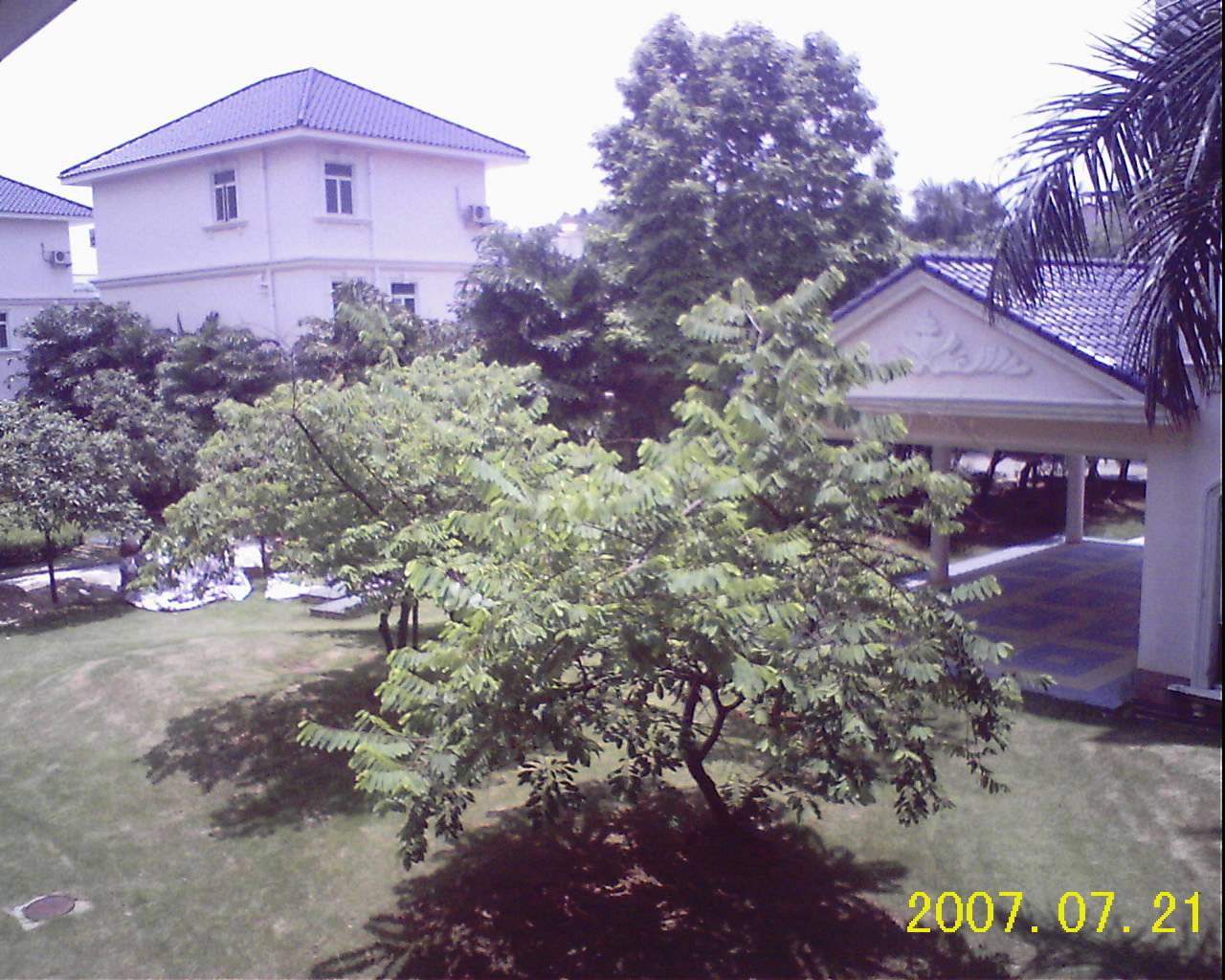 RECO0045.JPG