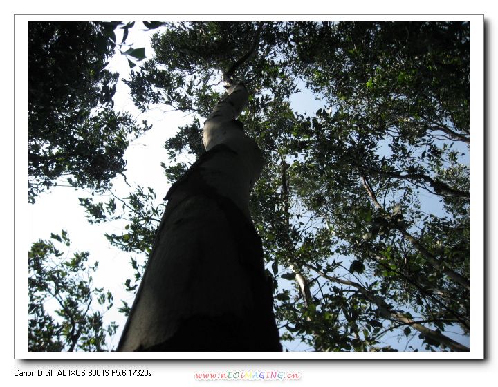Ƭ 098.jpg